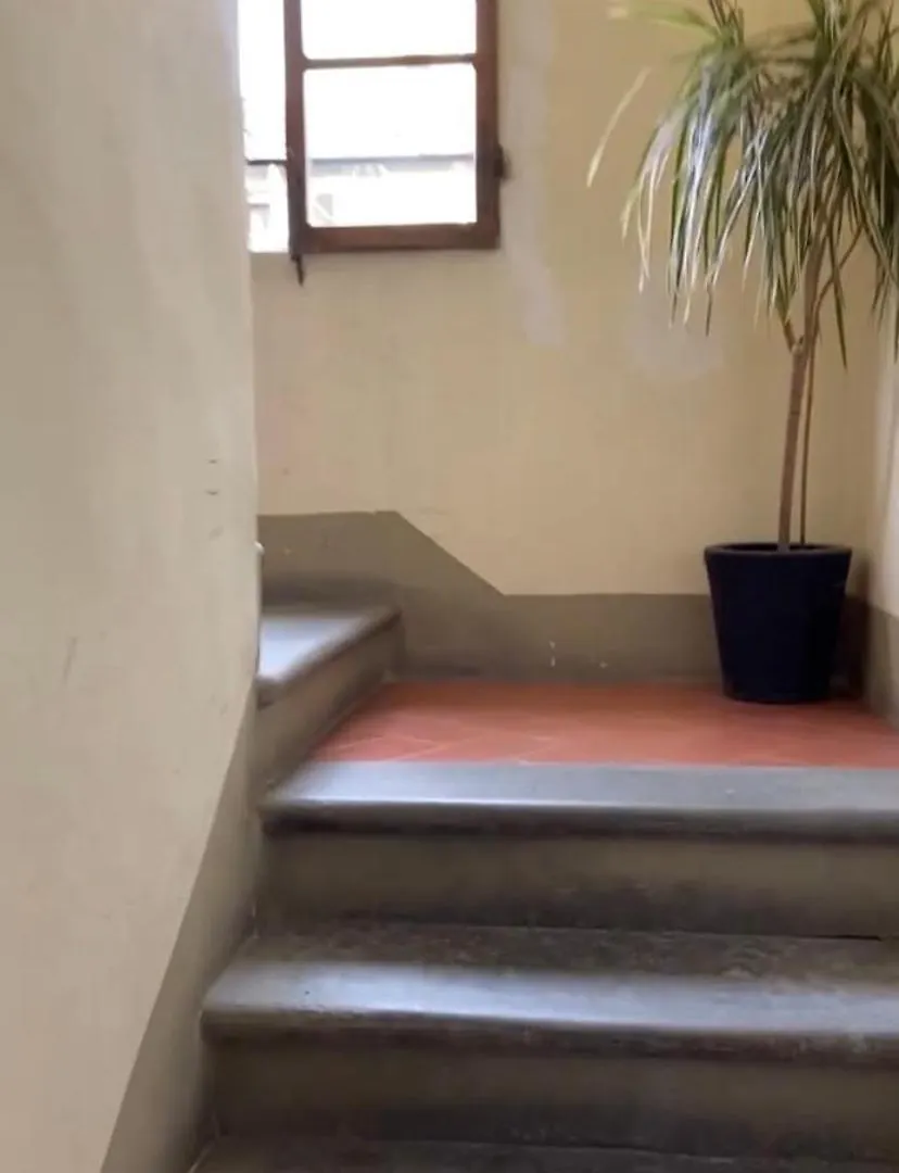 公寓 Ponte Vecchio Luxury Suite 佛罗伦萨 意大利